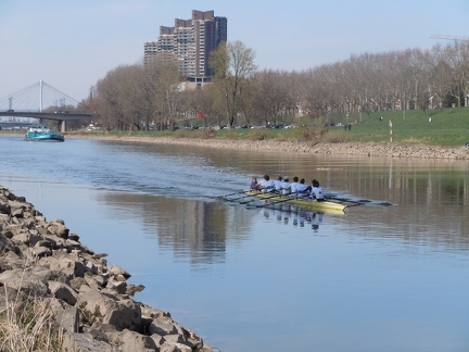 Neckar Rowing2